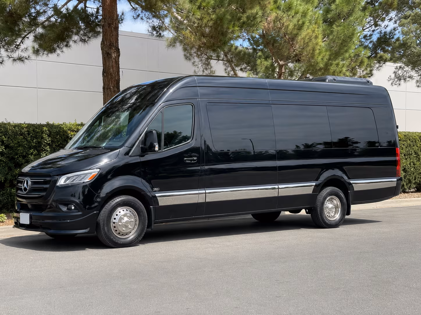 hollywood 10 passenger sprinter van