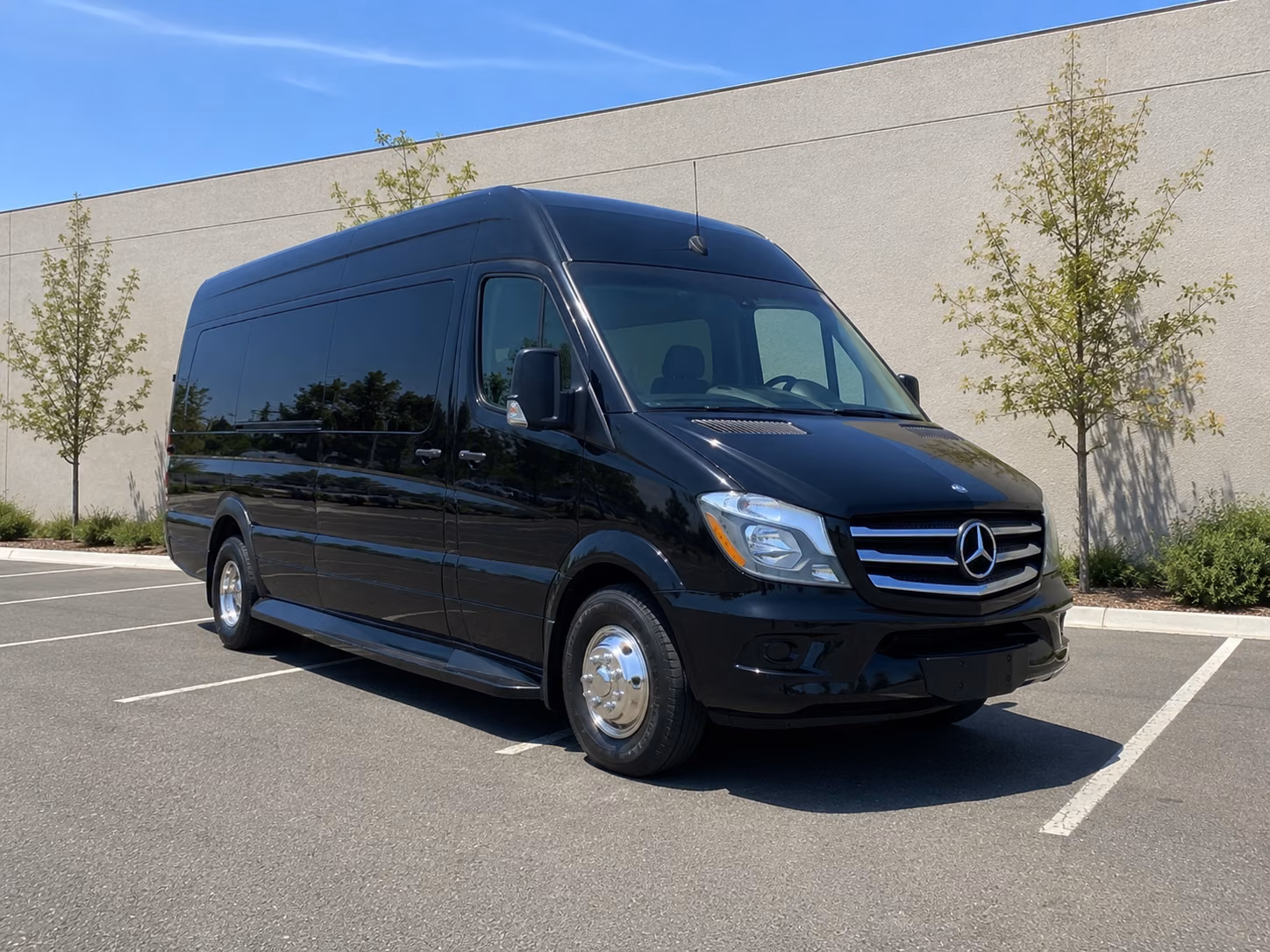 hollywood wedding sprinter van rental